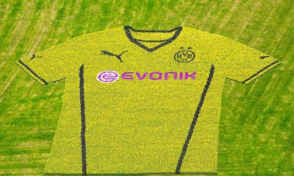 Borussia Dortmund, 80mila fiori per presentare la nuova maglia