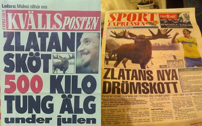 Animalisti contro Ibrahimovic in Svezia: &#8220;Ha ucciso un alce di 500 kg&#8221;