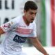 Martinho - Carpi