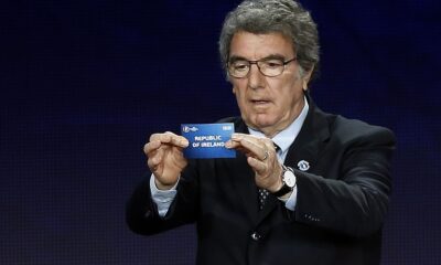 Zoff Dino