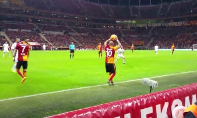 Wesley Sneijder