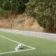 Messi corner