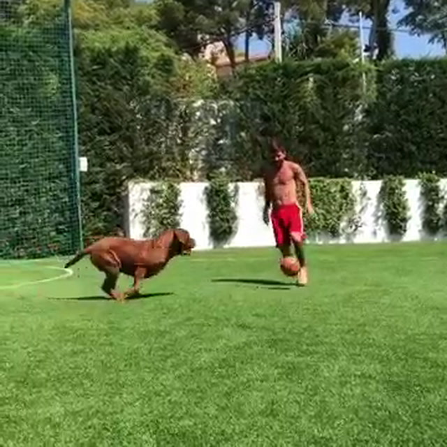 Barcellona, Messi show contro il suo cane