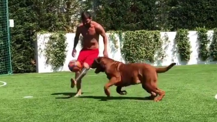 Messi: numeri da circo con il cane Hulk [VIDEO]
