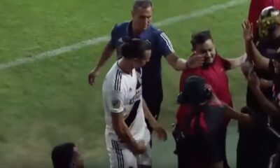ibrahimovic gestaccio