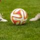 torino partita 22 ragazzi denunciati