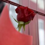 Fiore lutto
