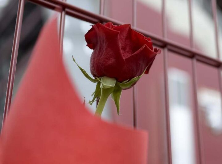 Fiore lutto