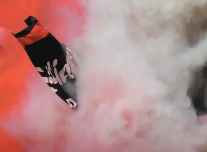 Tifosi