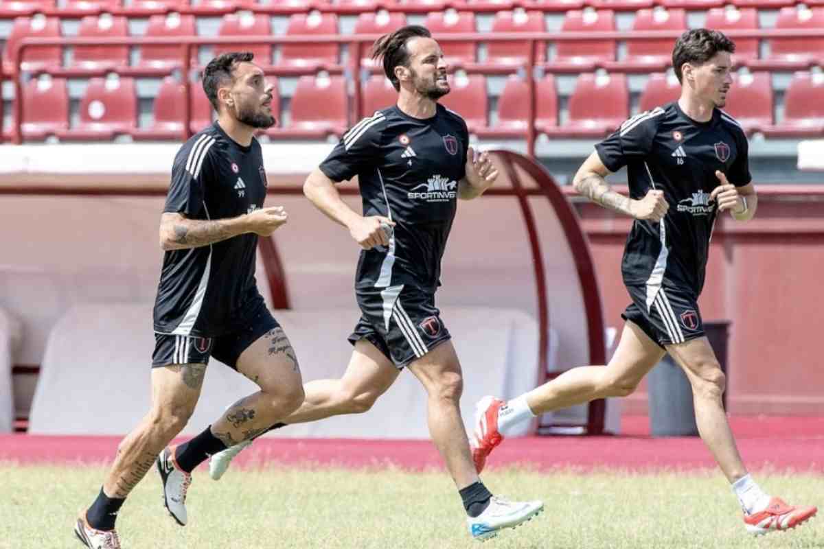 Figc decisione presa