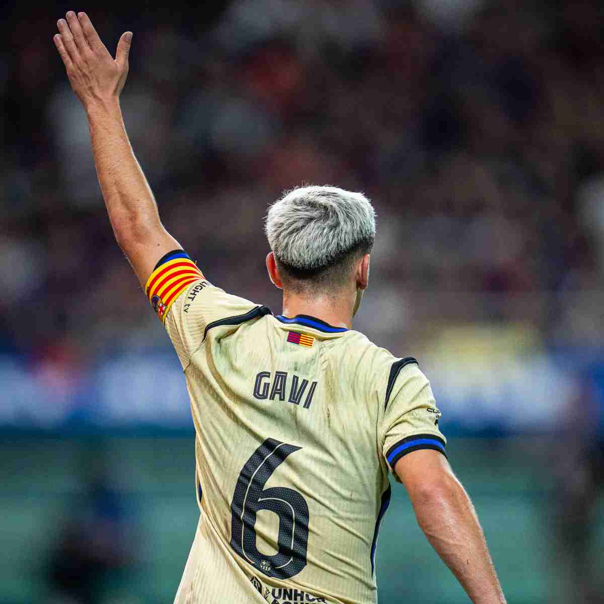 Napoli Gavi