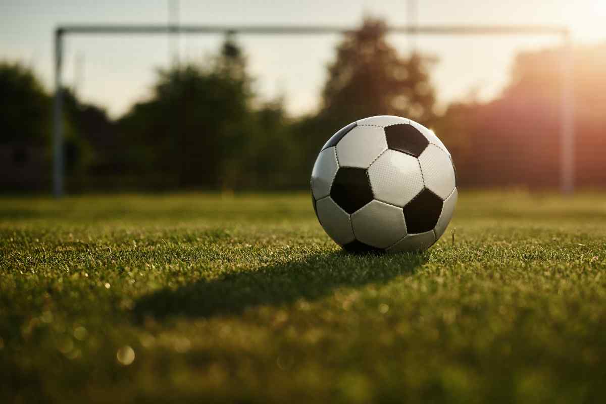 Pallone da calcio sul campo in erba